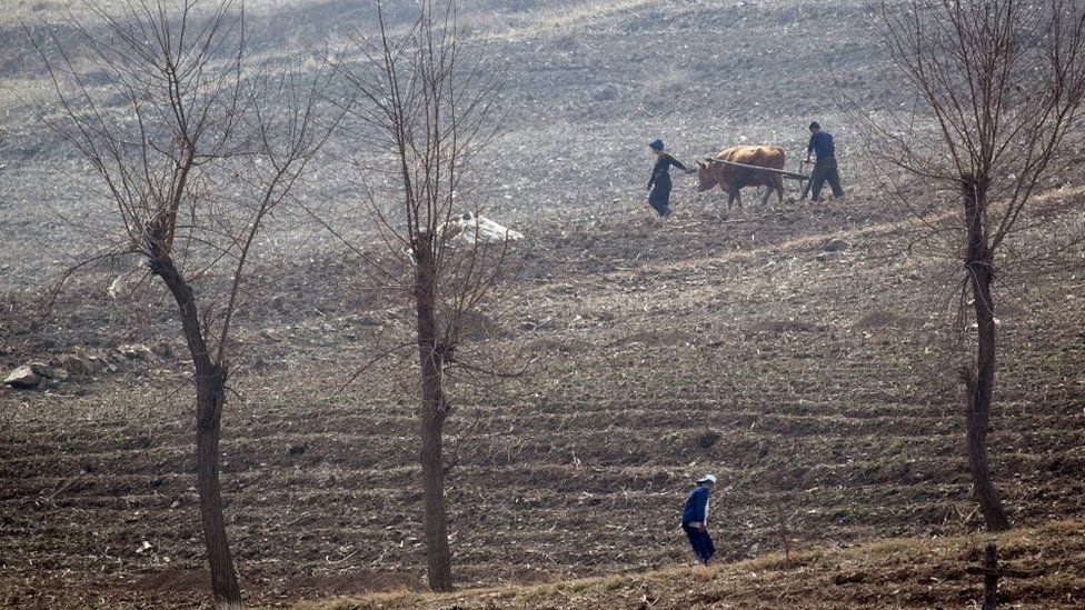 उत्तर कोरियामा जाडोको समयमा खाद्य संकट थप गम्भीर