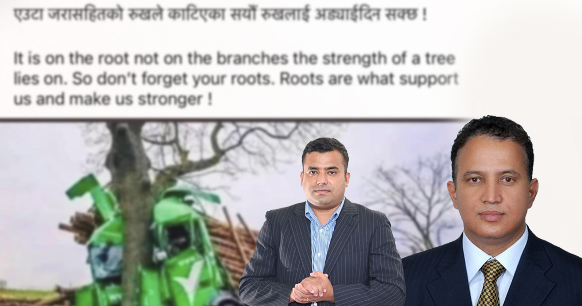 जीवा लामिछानेलाई रोशन थापाको कटाक्ष– जंगल धान्ने नयाँ रुखले हो, बुढो रुखले होइन