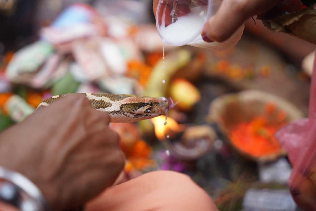 नागपञ्चमी मनाइँदै
